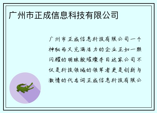 广州市正成信息科技有限公司